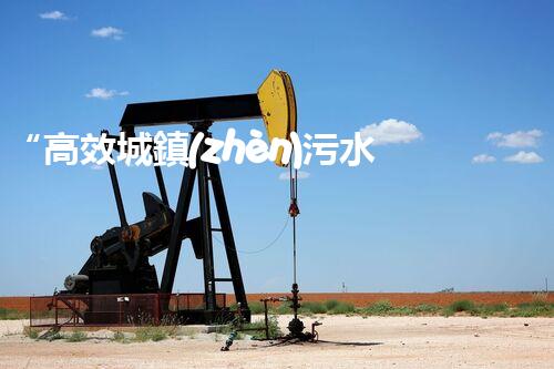 “高效城鎮(zhèn)污水處理流程，守護碧水藍天新篇章”